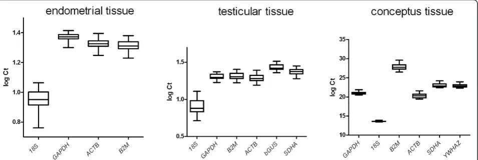 Table 2 Coefficient of variation of Ct values fortranscripts tested in uterine, testicular, and conceptustissue