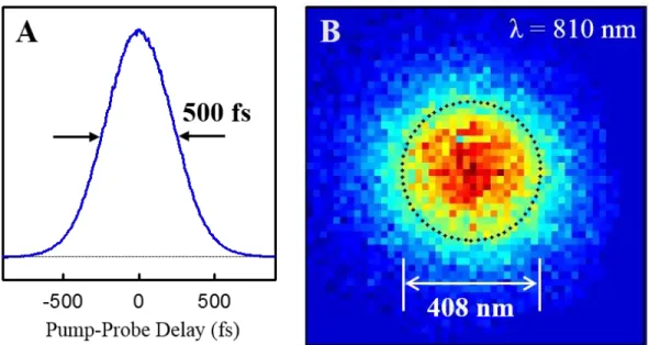 Figure 2.2: Microscope resolution. (A) Cross-correlation of the pump and probe pulses in  the microscope obtained by monitoring the sum-frequency signal generated by a ZnO crystal