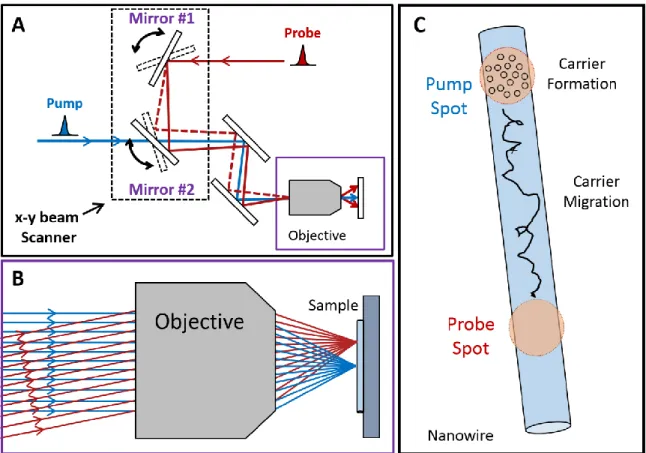 Figure  2.5:  Schematic  of  spatially-separated  pump-probe  imaging.  (A)  The  x-y  beam  scanner  is  a  set  of  two  computer-controlled  mirrors  with  motorized  actuators  on  both  the  horizontal and vertical axes