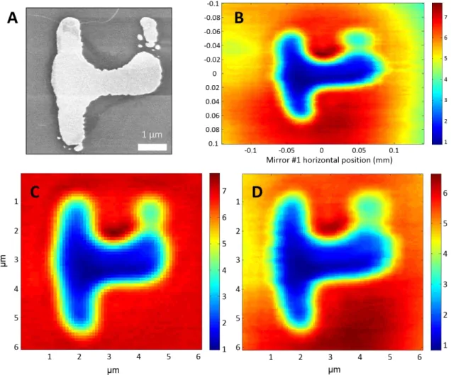 Figure  2.7:  Image  calibration.  (A)  SEM  image.  (B)  Raw  data  mirror  scanning  image