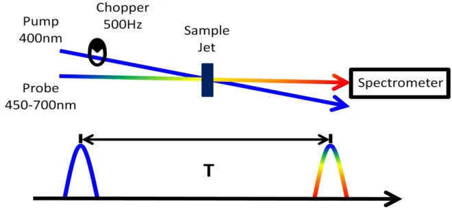 Figure 3.4.  Experimental design of the transient absorption experiments completed in this  dissertation