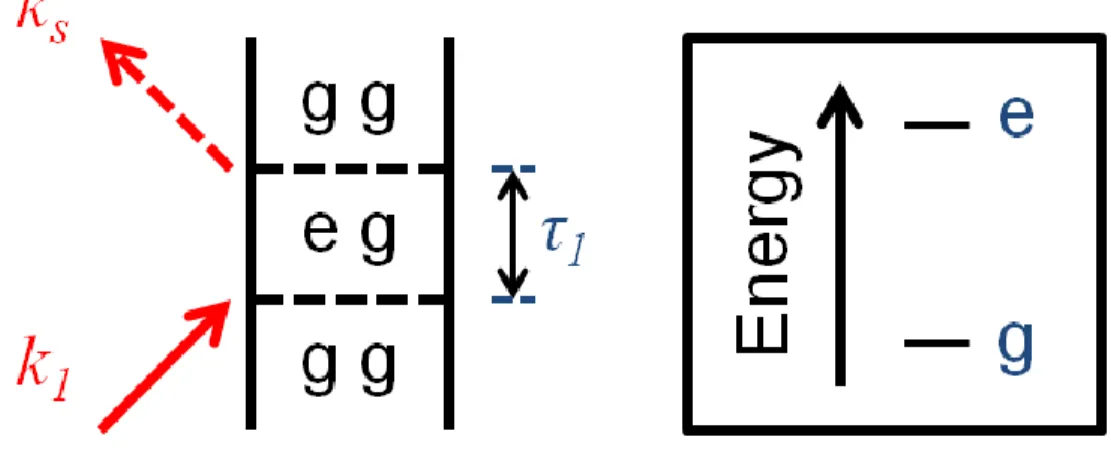 Figure 2.4.  Feynman diagram for linear absorption of a two level system.  Electric fields are  denoted by their wavevectors