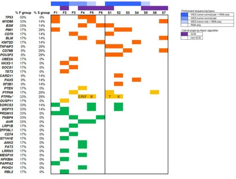 Table S4), mutation of four genes (Of the 485 candidate SNVs and indels (Supplement TP53, MYD88, PIM1, and B2M) that relate to the major driver genes in DLBCL [16, 17] were shared by three of 13 patients (23.1%)
