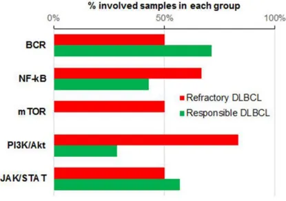Figure 3: Mutational state of five major pathways. % of involved samples in each pathway indicated by red bar for refractory DLBCL, green for responsible DLBCL
