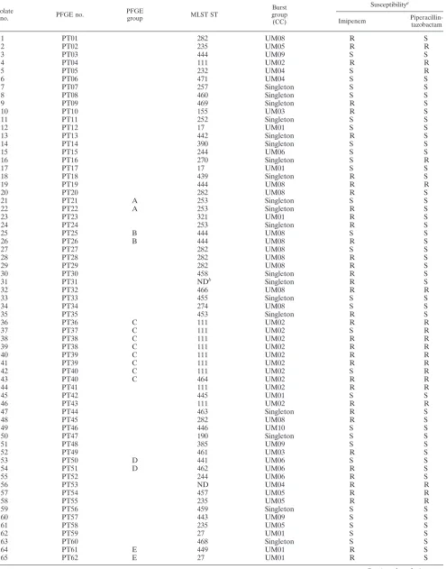 TABLE 1. PFGE types compared to MLST types of 90 clinical P. aeruginosa isolates