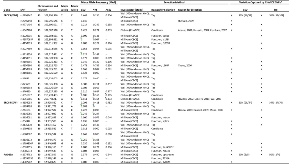 Table 12 cont. Single nucleotide polymorphisms in nucleotide excision repair genes included in the Carolina Head and Neck Cancer Study  