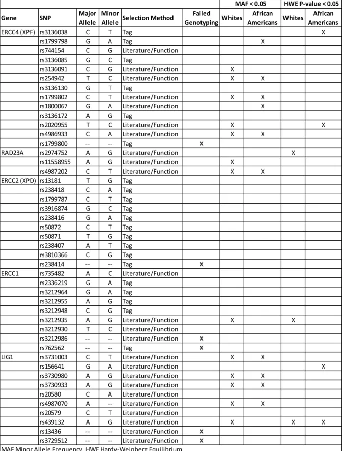 Table 13 cont. Single Nucleotide Polymorphisms (SNPs) in Nucleotide Excision Repair (NER) Genes  Inclusion and Exclusion Criteria, Carolina Head and Neck Cancer Epidemiology (CHANCE) Study 
