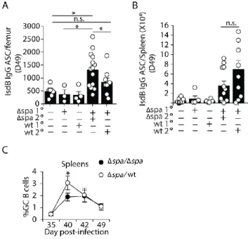 Figure 3. 4 S. aureus-specific ASCs formed after WT challenge fail to populate the bone  marrow  