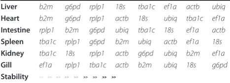 Table 2 GeNorm ranking of the reference genes stability in all investigated tissues  
