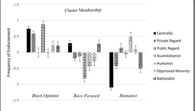 Figure 1. Summary of racial identity groups using standardized means. 
