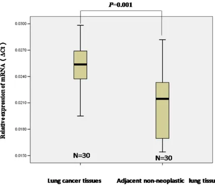 Figure 1: The relative levels of STIM1 mRNA expression was detected by qRT-PCR. The level of STIM1 mRNA expression was higher in lung tumors than that in adjacent non-neoplastic lung tissues