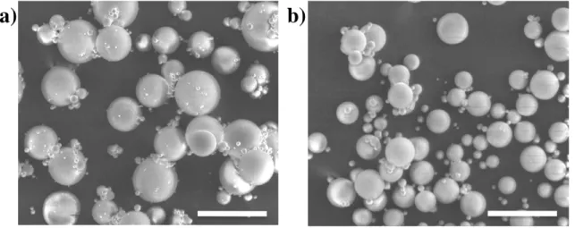 Figure  2.2  SEM  images  of  microspheres  fabricated  with  2  wt%  SDS  solution  by  solvent evaporation