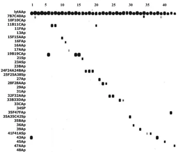 TABLE 1—Continued