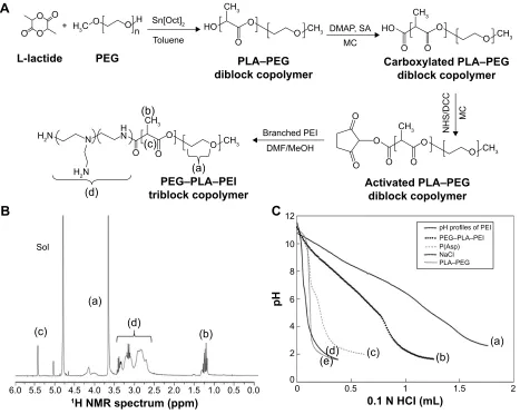 Figure 1 synthesis and validation of Peg–Pla–PeI polyelectrolyte.Notes: (A) Overall scheme for the synthesis of Peg–Pla–PeI; (a) Och2ch2, Peg, (b) ch3, Pla, (c) ch, Pla, and (d) N(ch2ch2Nh2)ch2ch2Nh2, PeI; (B) 1h-NMr spectrum of Peg–Pla–PeI in D2O-d6 [(a) 