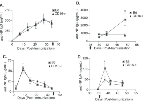 Fig. 2. 2 CD16 -/-  mice  have defective secondary immune responses.