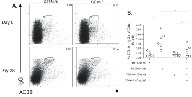 Fig. 2.3 Immunized CD16 -/-  mice have a diminished number of Ag-specific memory B cells.