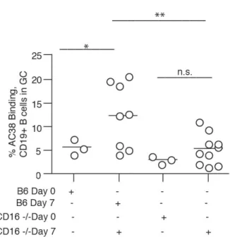 Fig. 2.5 Immunized CD16 -/-  mice have a diminished number of Ag-specific B cells within the  germinal center.