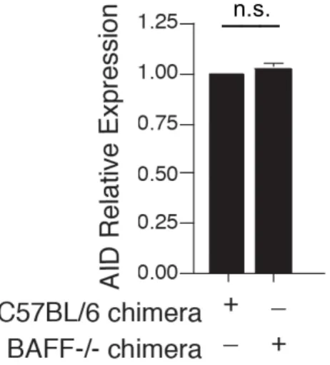 Table 2.1 Real Time RT-PCR primer sequences