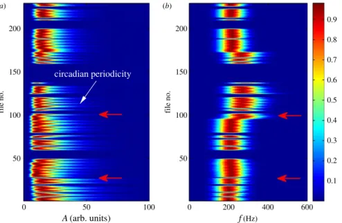 Figure 4. Typical EMD representation of massive rate EEG data. (a) Contour plot of normalized distribution of amplitude A (in arbitrary units) varying in time of a particular EMD mode of interest (IMF5, approx