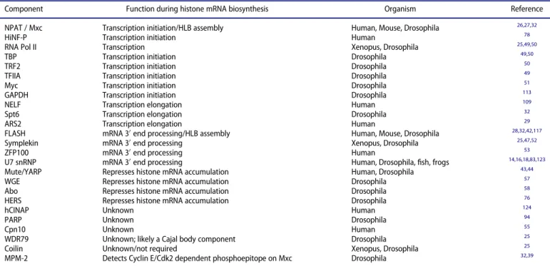 Table 1. Proteins that can concentrate in the HLB and their role in histone gene expression.