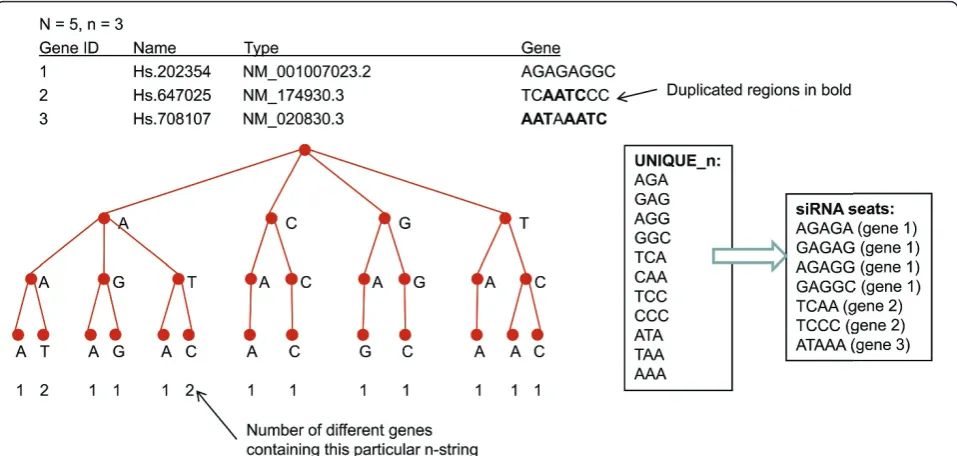 Figure 3 Generation of the storage of all substrings. This example illustrates the steps of Algorithm 1 for the input consisting of 3 genesAGAGAGGC, TCAATCCC and AATAAATC
