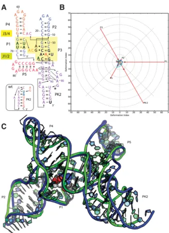 FIGURE 2. Puzzle 8: SAM-I/IV riboswitch. (A) Secondary structure and (B) module-based deformation profile values for the three predicted models from different groups with lowest RMSD: Das model 3 (green), Bujnicki model 7 (blue), and Chen model 3 (cyan)