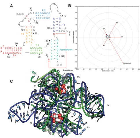 FIGURE 3. Puzzle 12: ydaO riboswitch. (A) Secondary structure and (B) module-based defor- defor-mation profile values for the three predicted models from different groups with lowest RMSD:
