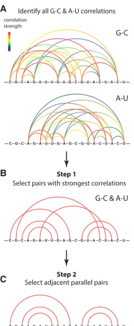 FIGURE 2. Two-step algorithm for detecting Watson-Crick RNA base pairs using RING-MaP correlated chemical probing data
