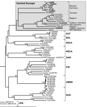 FIG. 3. Neighbor-joining phylogenetic tree (TN93 evolutionary model) of European PUUV strains based on S segment partial sequences (616nucleotides, positions 354 to 969)
