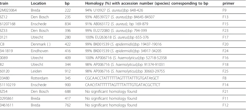 Table 2 Observed sequence homologies of analyzed MRSA strains from various locations, length of DNA sequenceanalysis reads, and PCR primers based on these sequences