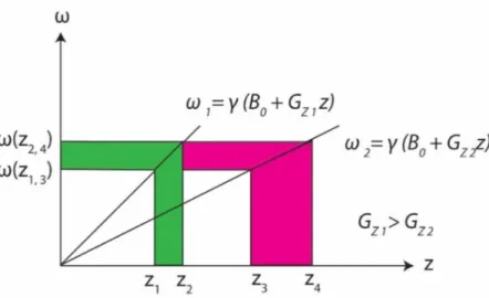 Figure 2.12: G z1 and G z2 are two gradients, G z 1 having a higher slope. We can see that a higher gradient results in a thinner slice (z 1 − z 2 ) if we use the same bandwidth ∆ω = ω ( z 2,4 ) − ω ( z 1,3 ) , which should be centered around the Lamor fre