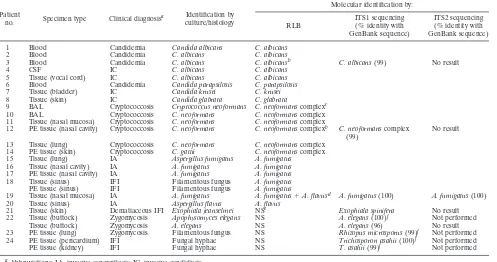 TABLE 2. Results of culture, histology, RLB, and ITS sequence analysis of clinical specimens from patients with proven IFI