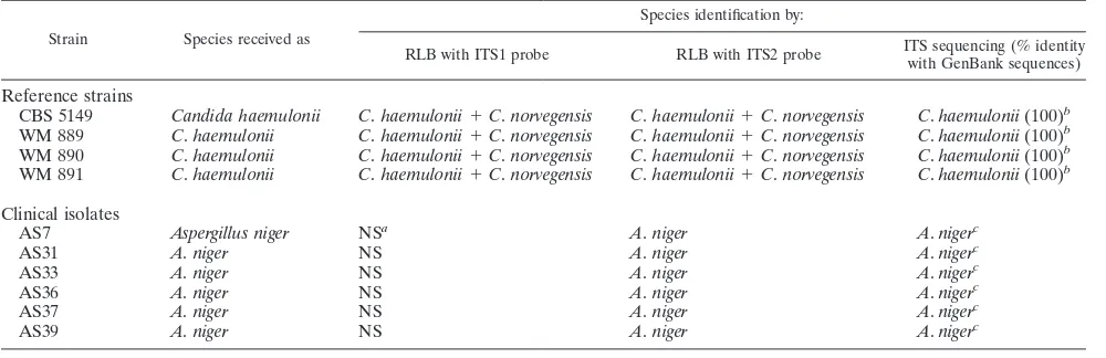 TABLE 4. List of isolates that produced ambiguous species identiﬁcation or that were not identiﬁed by the RLB assay