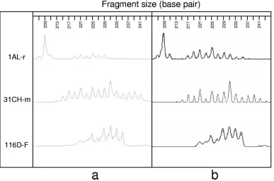 FIG. 3. Comparison between electrophoregrams performed with the automatic sequencers Beckman CEQ 8000 (a) and ABI Prism 3100 (b)for three isolates arbitrarily selected from the present sample collection: 1AL-r, Alaskan rodent isolate; 31CH-m, Swiss zoo monkey isolate; and