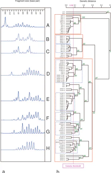 FIG. 4. E. multilocularis(209 bp to 241 bp), obtained using the automatic sequencer ABI Prism 3100