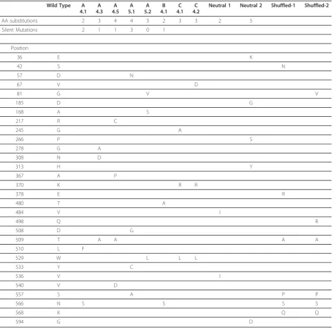 Table 1 Sequences of variants exhibiting b-galactosidase activity.
