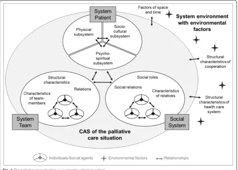 Fig. 1 The palliative care situation as a complex adaptive system