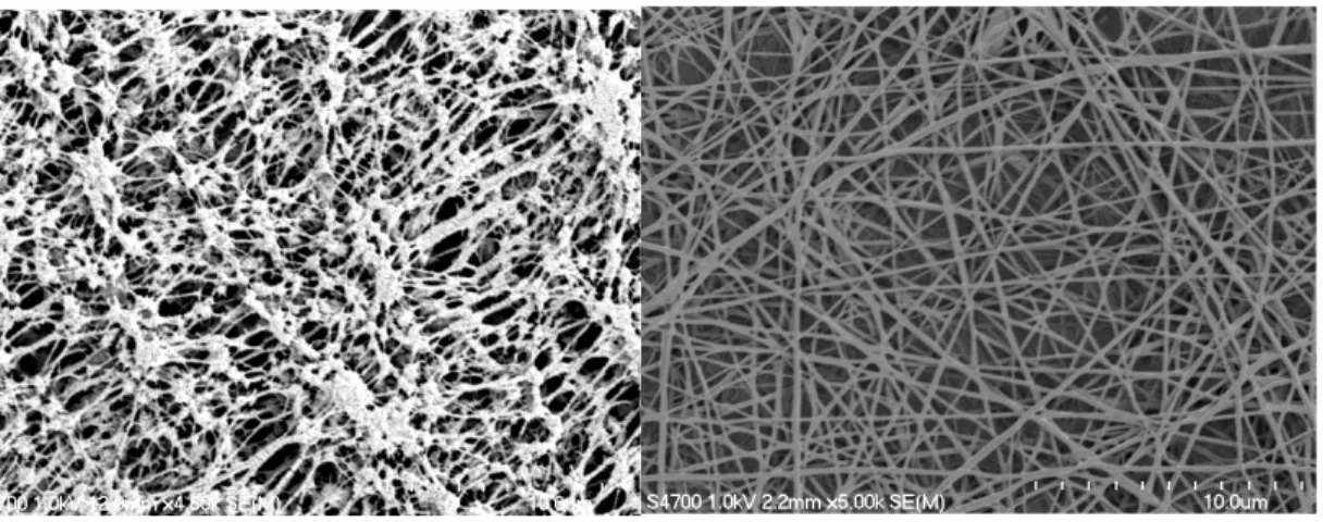 Figure 3.3 Left: SEM image of a commercially available millicell membrane. Right: Similarly scaled image  of an electrospun polyurethane scaffold