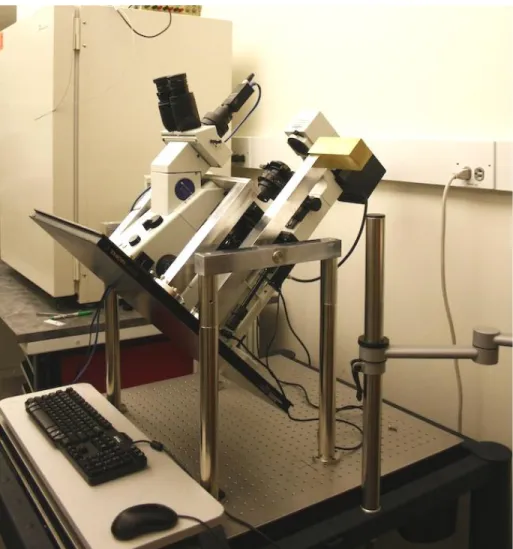 Figure 3.6 Tilting microscope "Ixion". Capable of performing both bright field and epifluorescent imaging  while rotated at angles of 0,30,45,60, or 90 degrees