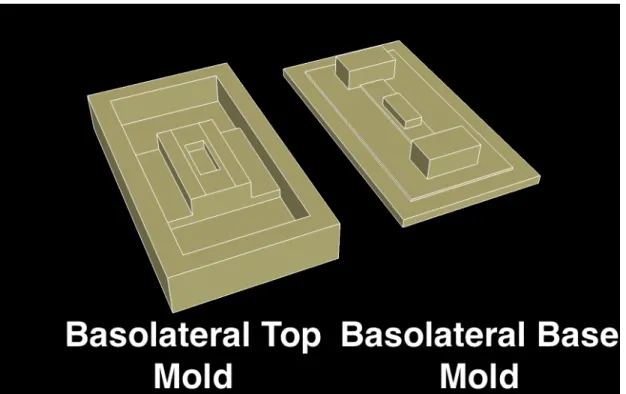 Figure 3.8 Early mold designs generated with Google SketchUp. Models were exported to .stl files and  prototyped via 3D printer