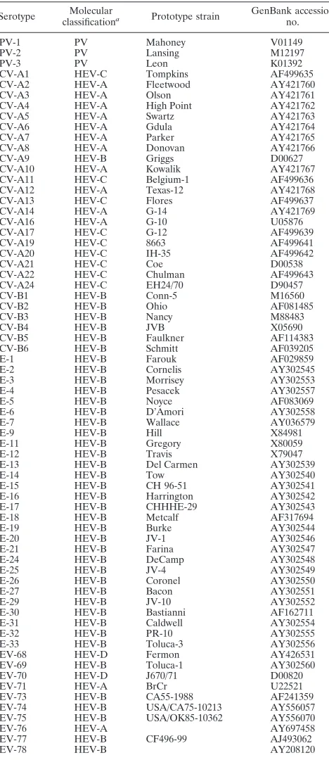 TABLE 1. Prototype strains of HEV used in this study