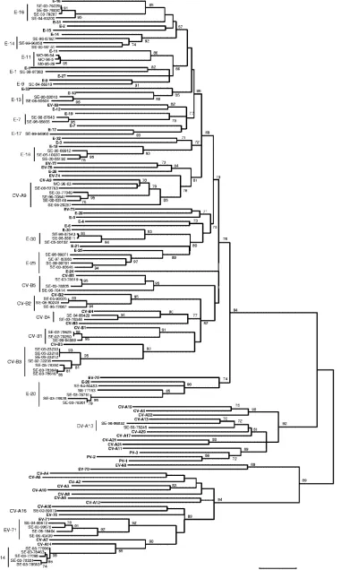 FIG. 2—Continued.