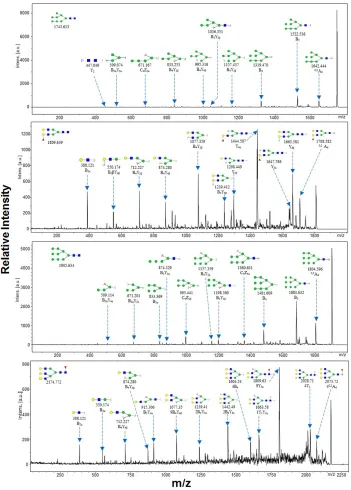 Figure 4: MALDI-TOF/TOF-MS/MS analysis of N-glycan precursor ions in MS spectra of the four cell lines