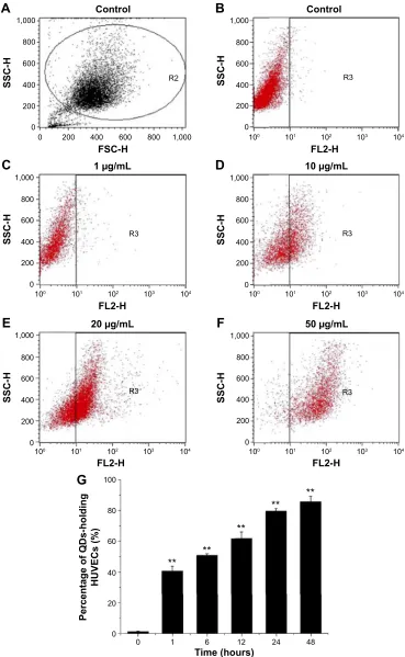 Figure 1 Internalization of cdTe QDs by hUVecs.Notes: (A) The region (R2) on forward/side scatter dot plot indicates gated cell population in flow cytometry analysis