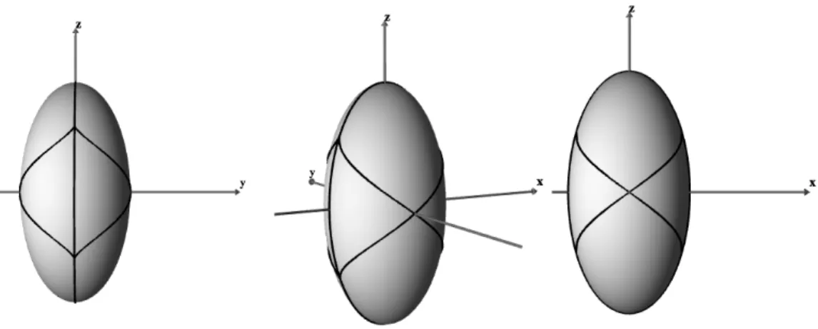 Figure 3.3: “Footprint” of stagnation surfaces on the spheroid surface from different viewpoints.