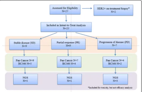 Fig. 1 Patient accrual and correlative analysis summary. A total of 27 patients were accrued and received treatment on the study