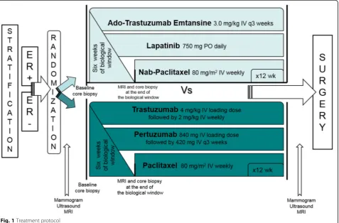 Fig. 1 Treatment protocol