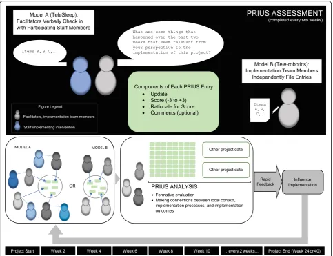 Fig. 1 Diagram showing ongoing PRIUS data collection and analysis informing implementation over time across two projects