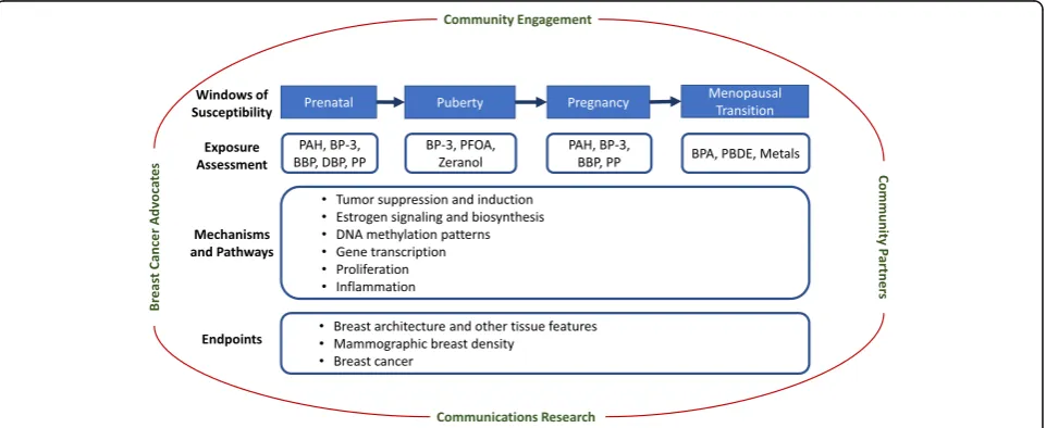Fig. 1 BCERP framework. A model of transdisciplinary community-engaged research by epidemiologists, basic scientists, communicationresearchers, and advocates to examine environmental causes of breast cancer, as conducted by the Breast Cancer and the Environment ResearchProgram (BCERP)