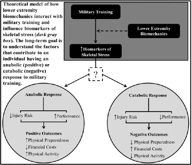Figure 1.1 – Theoretical Model 